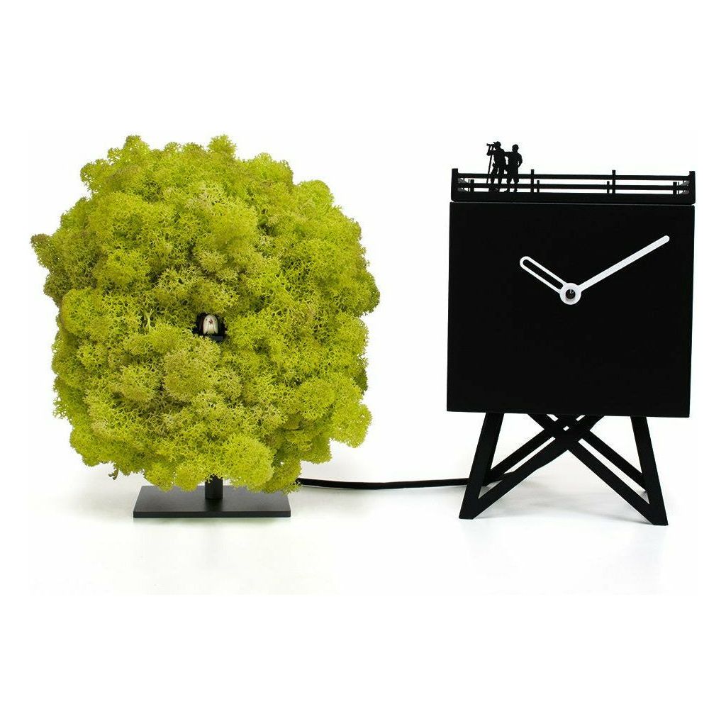 Modern Cuckoo Clock