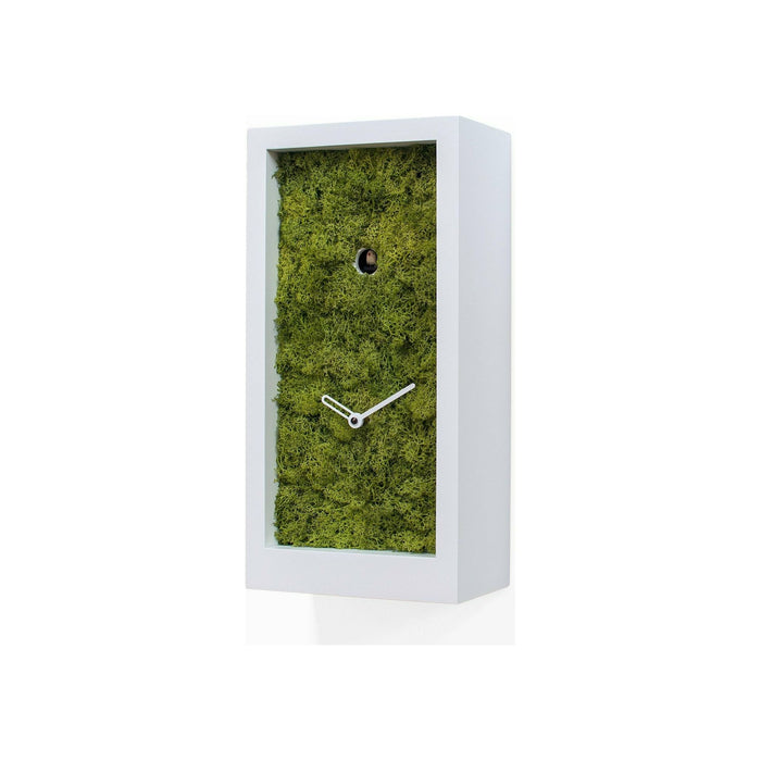 Progetti - Amazon Cuckoo Clock - Made in Italy - Time for a Clock