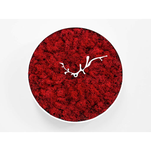 Progetti - Mossy Wall Clock - Made in Italy - Time for a Clock