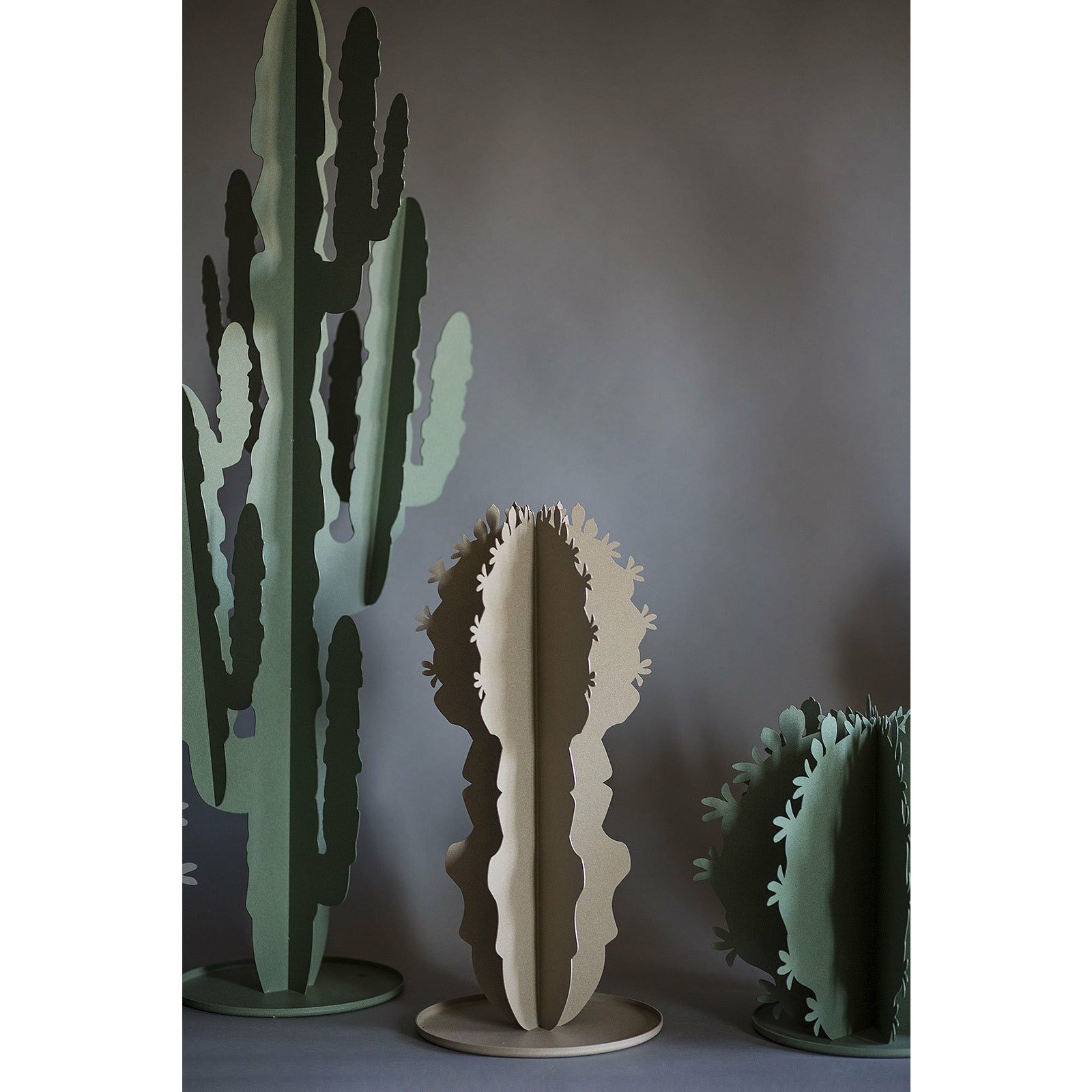 Cactus grande