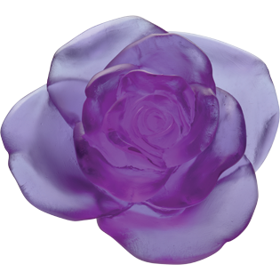 Daum - Crystal Rose Passion Decorative Flower in Ultraviolet - Time for a Clock