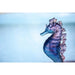 Daum - Crystal Coral Sea Blue Pink Seahorse - Time for a Clock