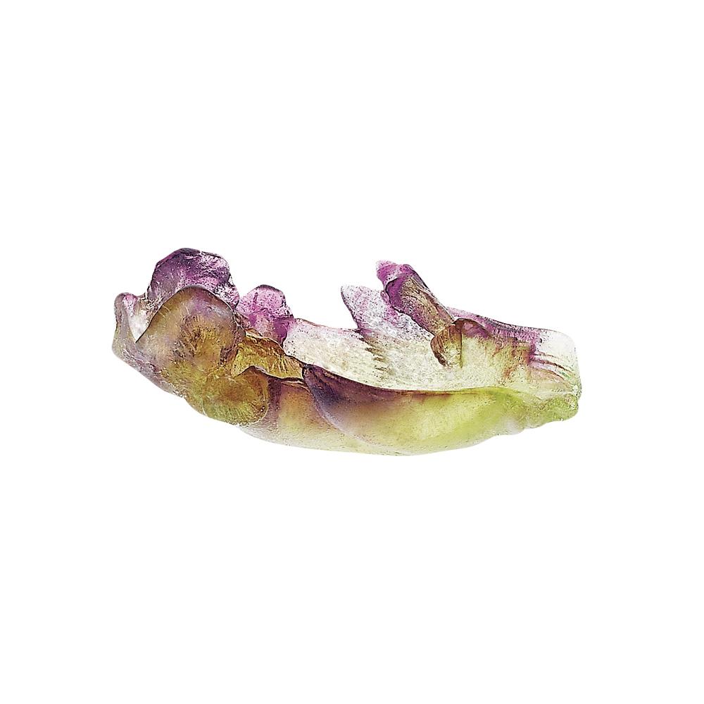 Crystal Iris