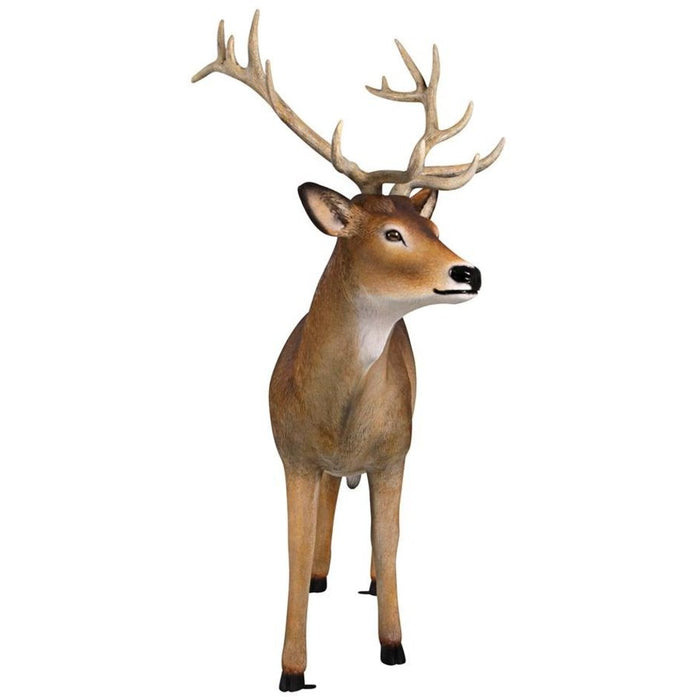 Design Toscano Forest White Tailed Buck, Male Deer Statue