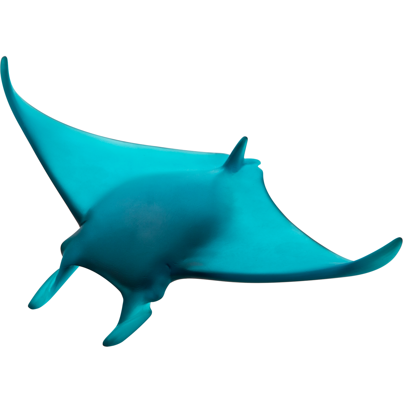 Crystal Fish & Manta Rays